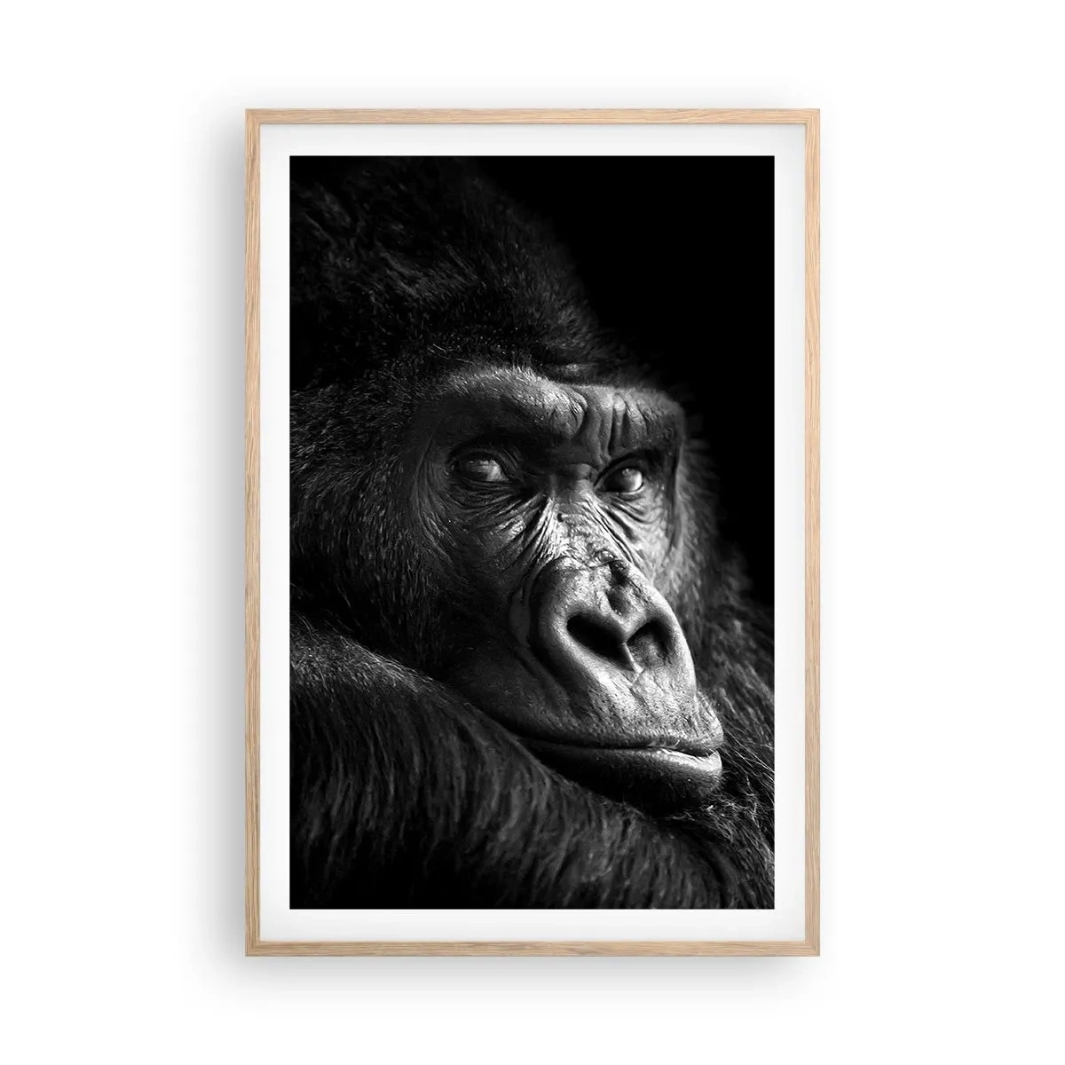 Poster in light oak frame - What Are You Looking At? - 61x91 cm
