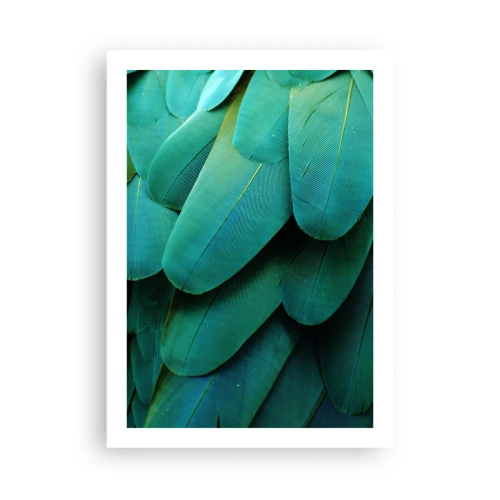Poster - Precision of Parrot Nature - 50x70 cm