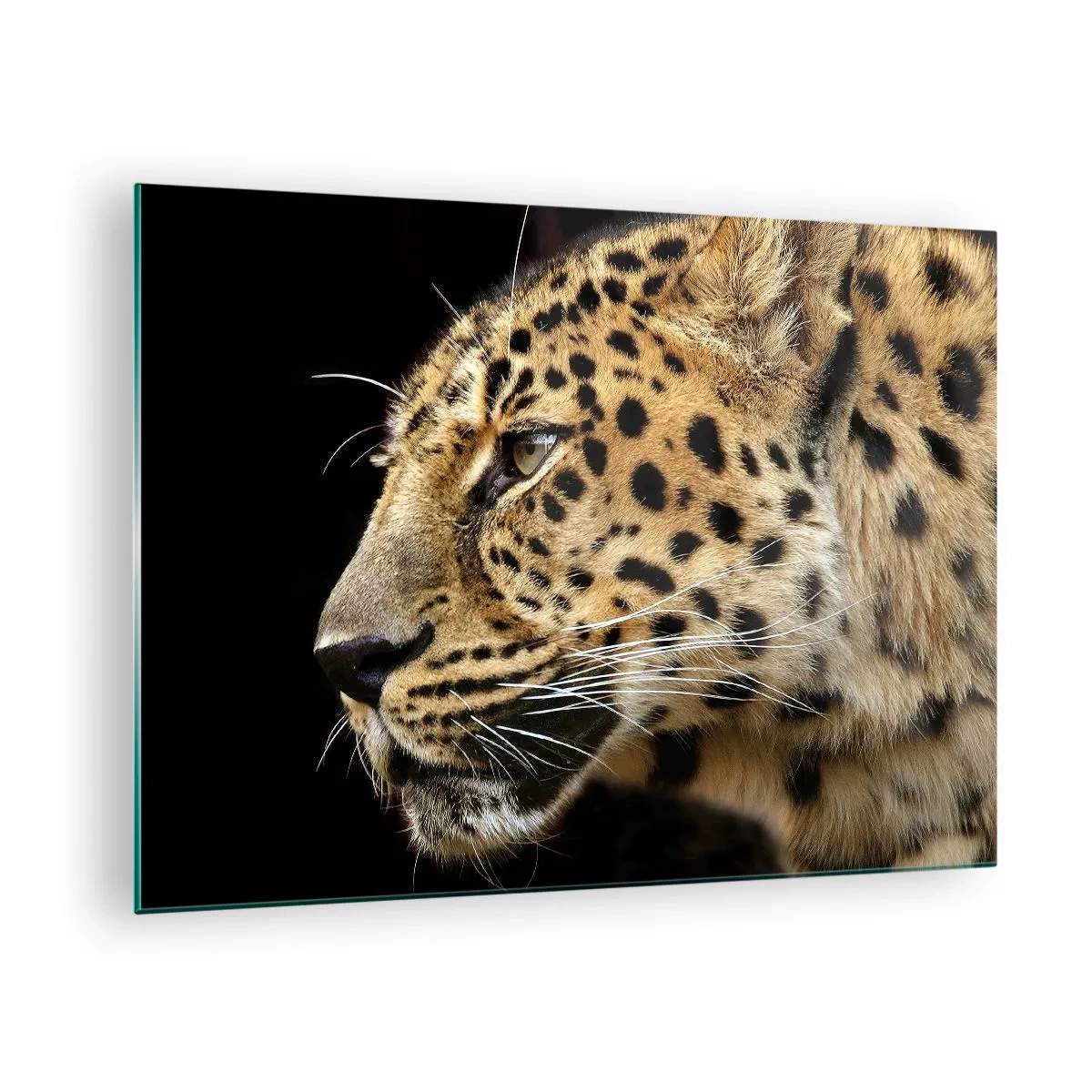 Glass picture - Profile of a leopard on a black background - 70x50cm - Calm, Focused, Ready - Modern wall decoration for the living room and bedroom ARTTOR