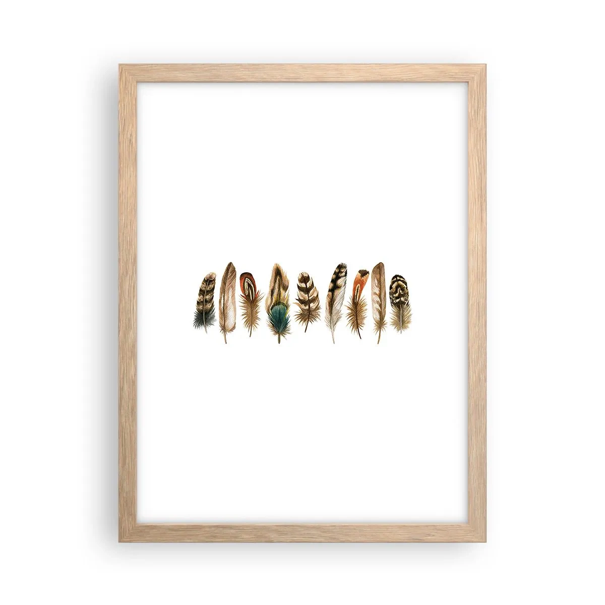 Poster in light oak frame - Feather Variation - 30x40 cm