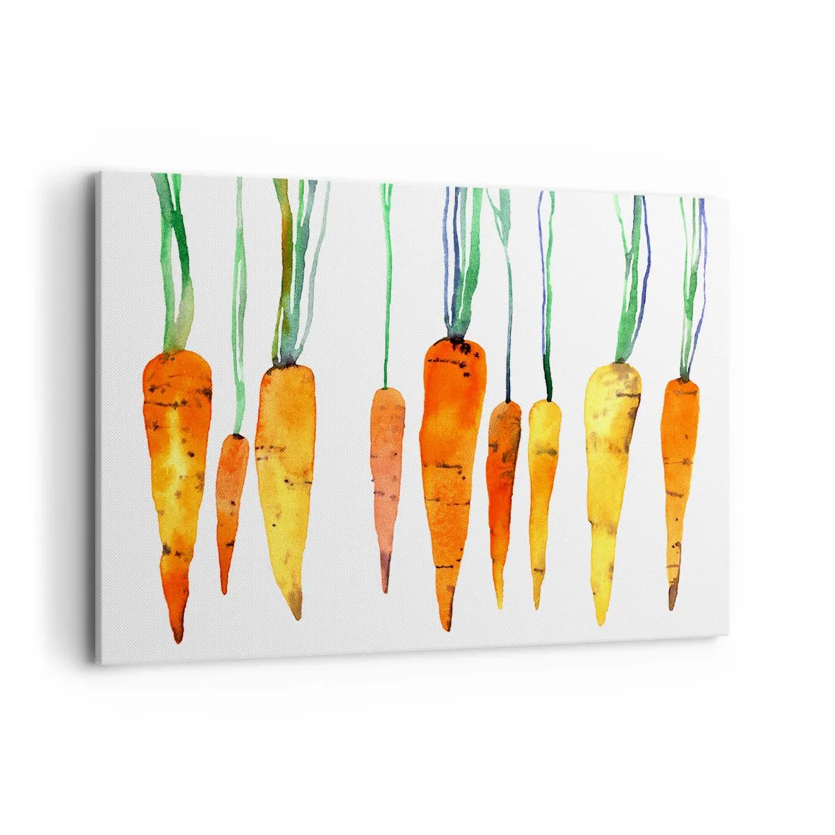 Canvas picture - Beauty of Common Carrot - 120x80 cm