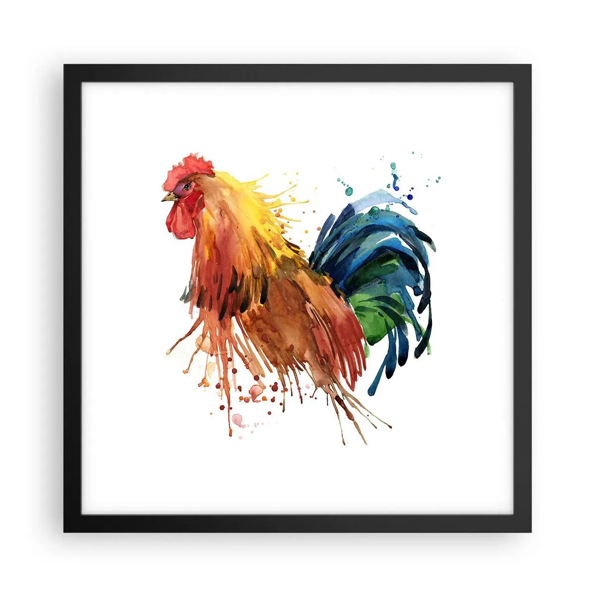 Poster in black frame - King Rooster - 40x40 cm