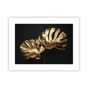 Poster - Tresaures of Nature - 40x30 cm