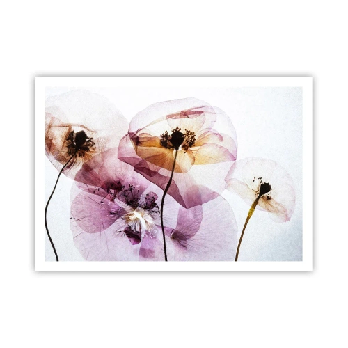 Poster - Flower Body Slide - 100x70 cm