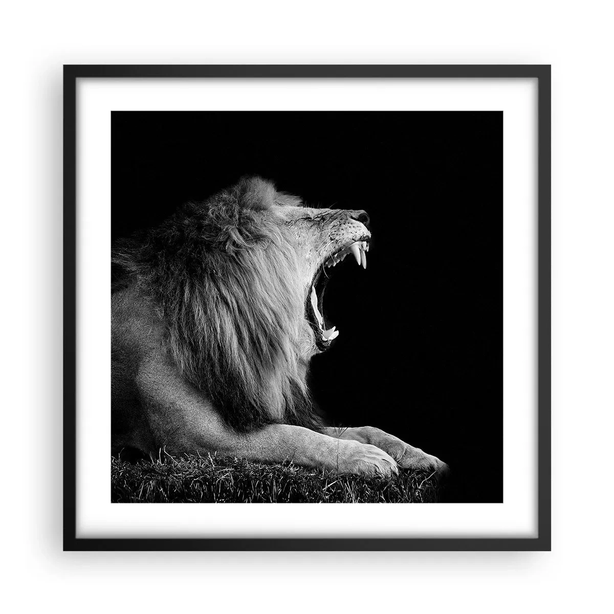 Poster in black frame - Without Any Doubt - 50x50 cm