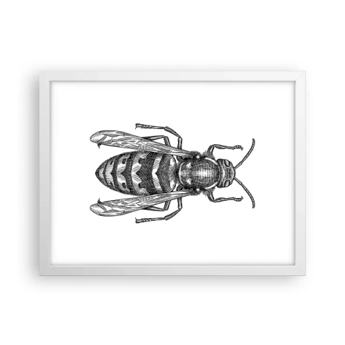 Poster in white frmae - From Insect Planet - 40x30 cm