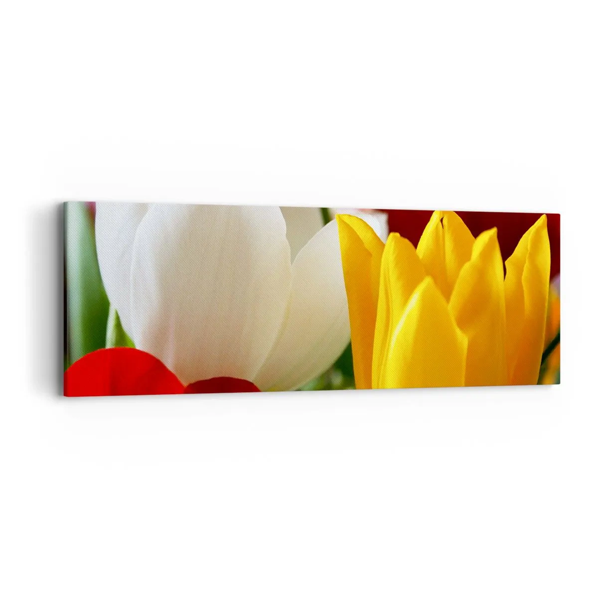 Canvas picture - Tulip Fever - 90x30 cm