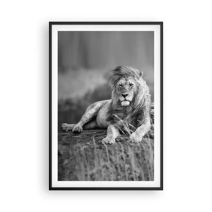 Poster in black frame - Royal Siesta - 61x91 cm