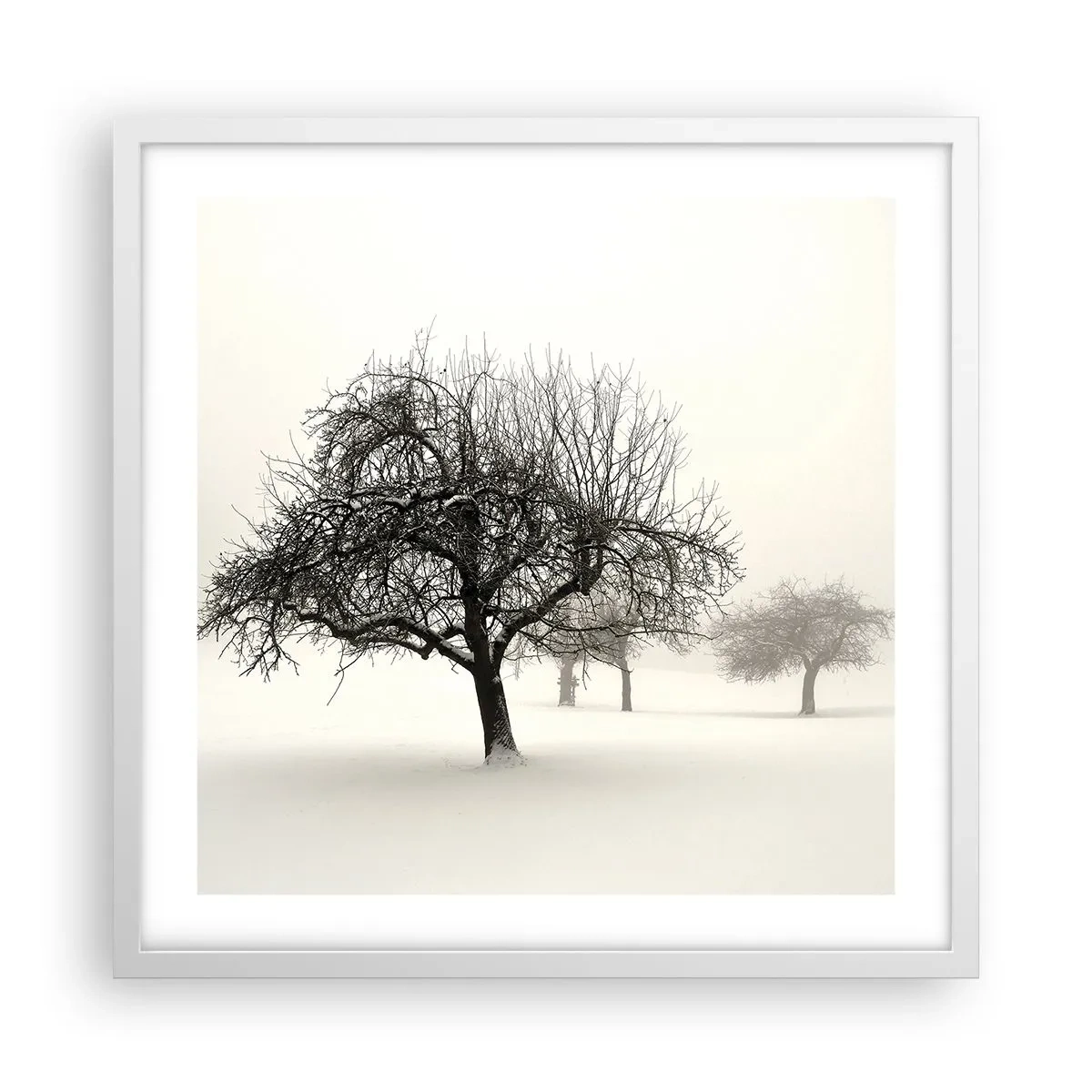 Poster in white frmae - Winter Dream - 50x50 cm