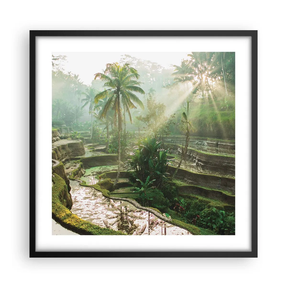 Poster in black frame - Maturing in the Sun - 50x50 cm
