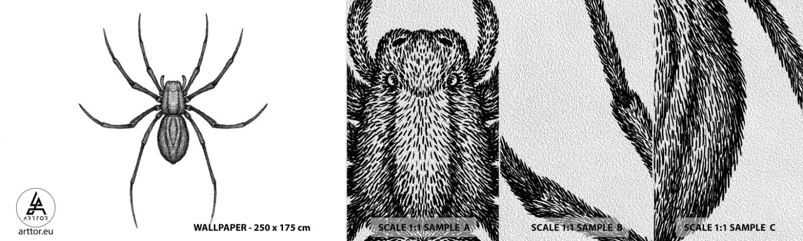 Photo Wallpaper Sample Premium Sand - Disturbing Precision - Spider, Insect, Minimalistic - 100x30 cm