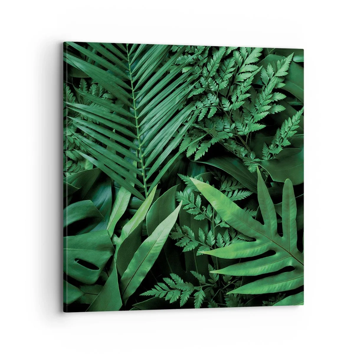 Canvas picture - In a Green Hug - 70x70 cm