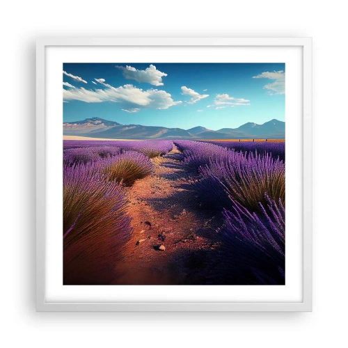 Poster in white frmae - Fragrant Fields - 50x50 cm