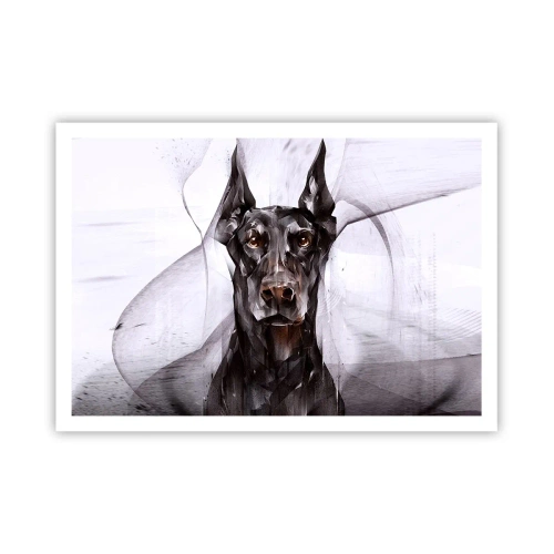 Poster - Born to Nobility - 100x70 cm