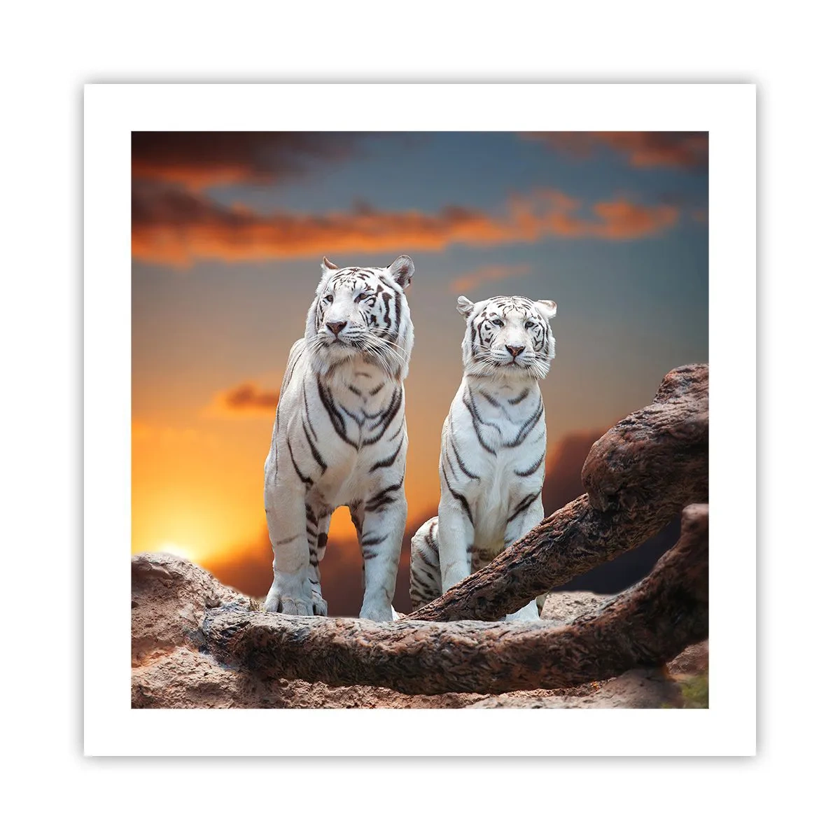 Poster - Just Like in Narnia - 50x50 cm