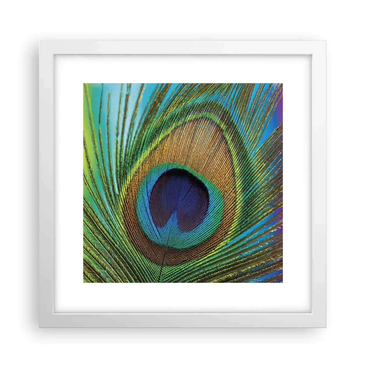 Poster in white frmae - Eye to Eye - 30x30 cm