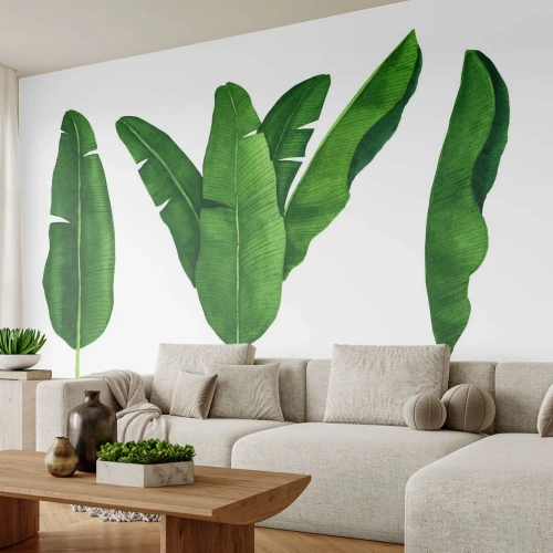 Photo Wallpaper Premium Sand - Green Symmetry - Banana Leaf, Tropical, Botanical Style - 450x315 cm
