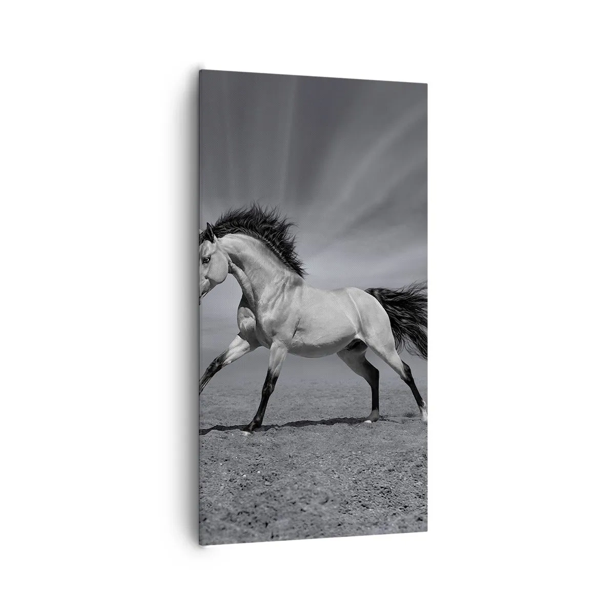 Canvas picture - Born to Amaze - 65x120 cm