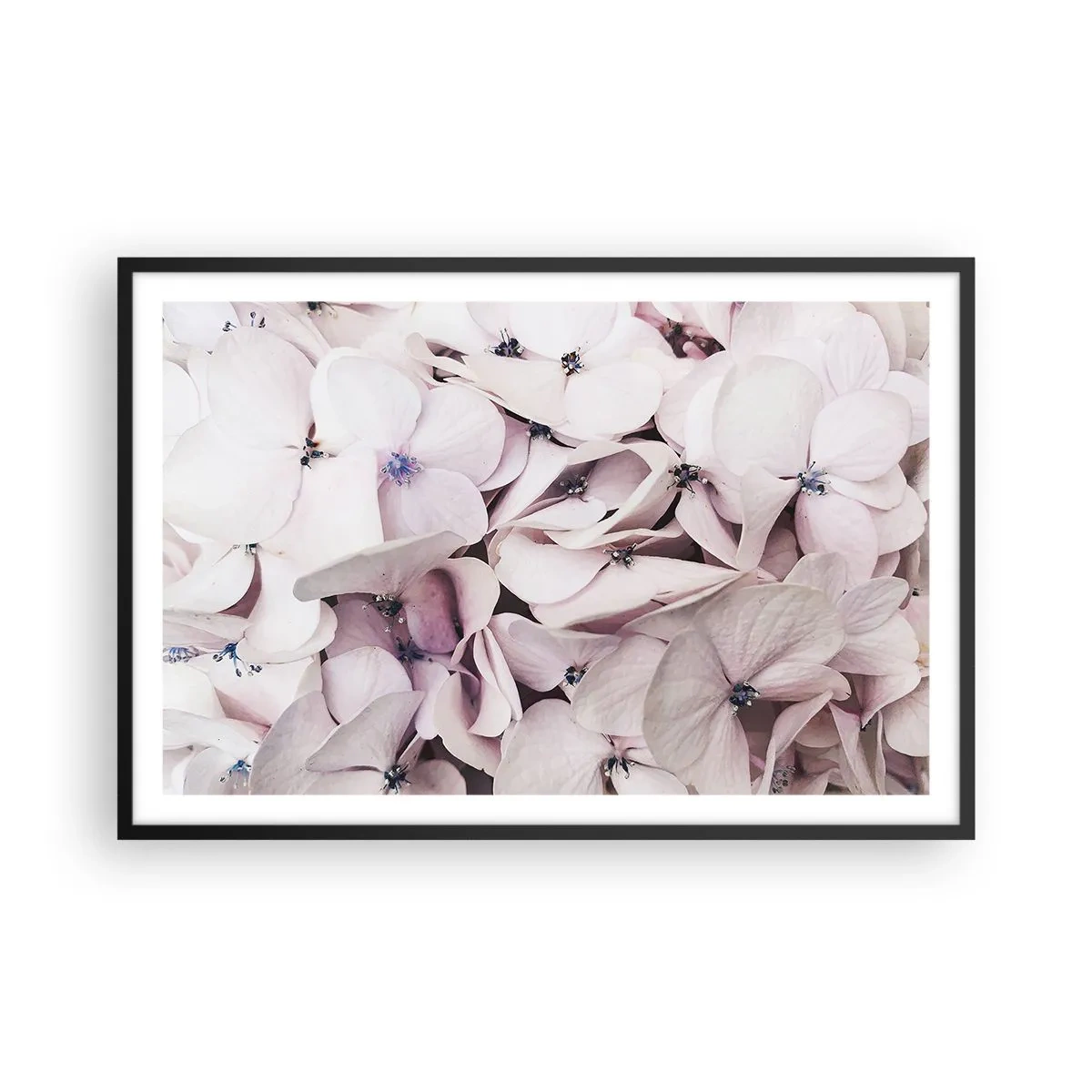 Poster in black frame - In the Flood of Flowers - 91x61 cm