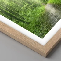 Light Oak