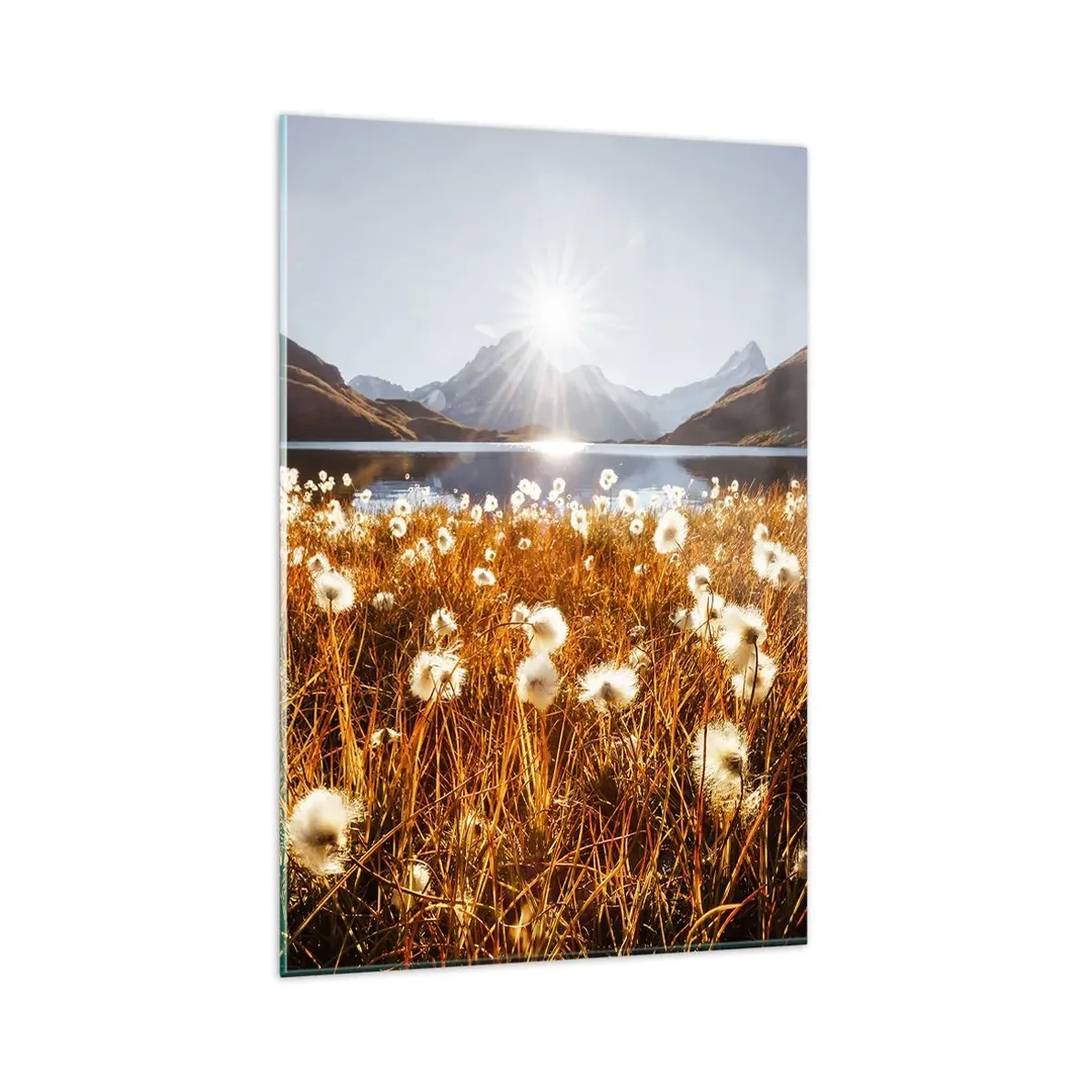 Glass picture - Toughness of Rocks, Softness of Grass - 80x120 cm