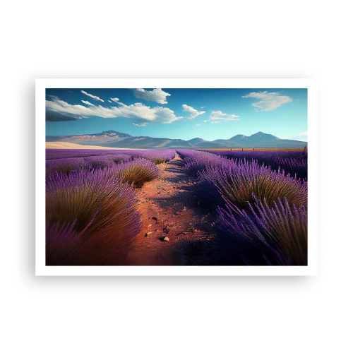 Poster - Fragrant Fields - 100x70 cm