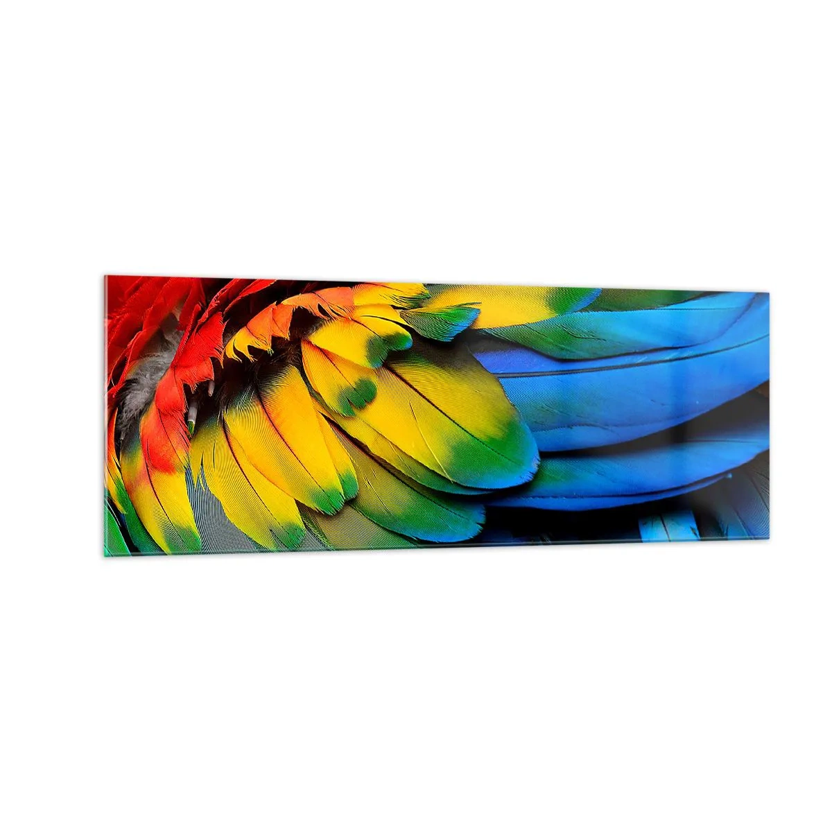 Glass picture - Bird Of Paradise - 140x50 cm