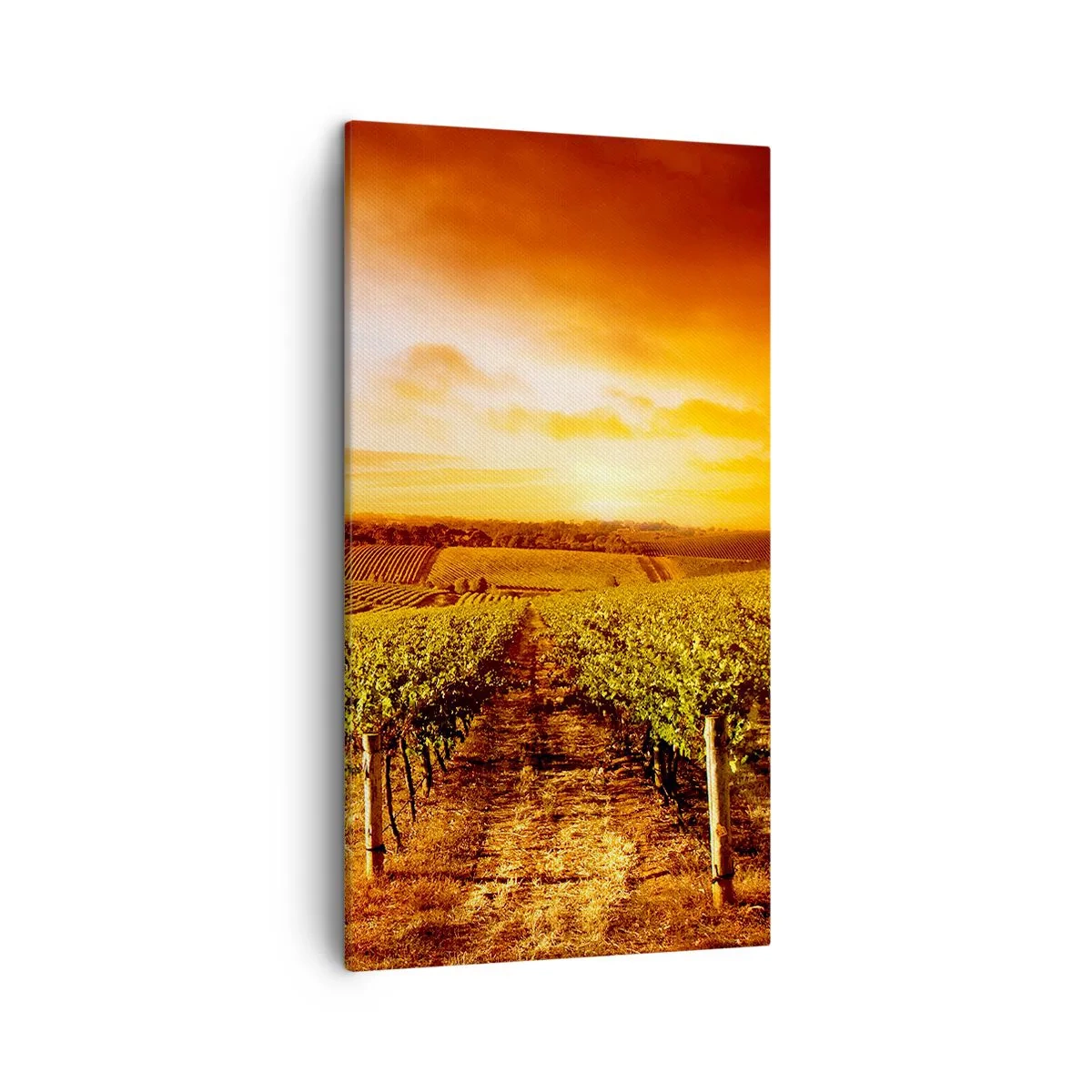 Canvas picture - Delicatly Fruity with a Note of the Sun - 45x80 cm