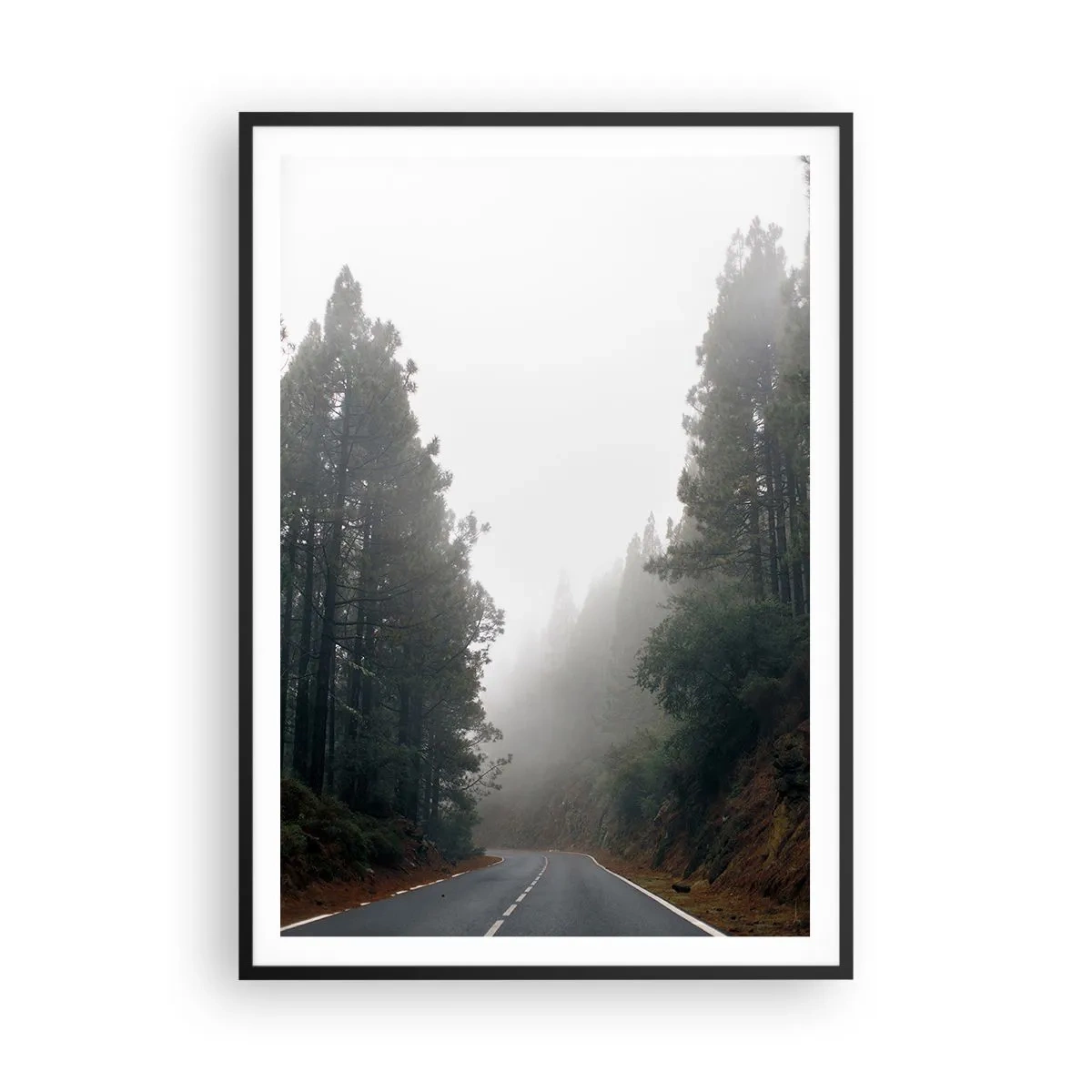 Poster in black frame - Tale of a Magic Forest - 70x100 cm