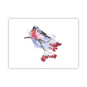 Poster - Winter in Colour - 70x50 cm