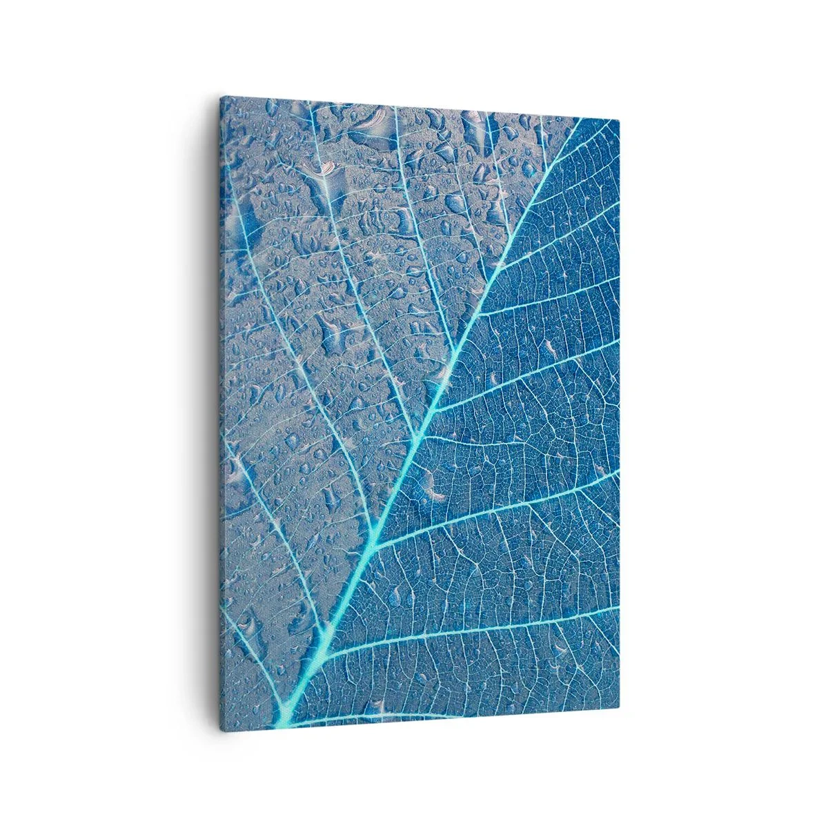 Canvas picture - Life in the Blue - 50x70 cm
