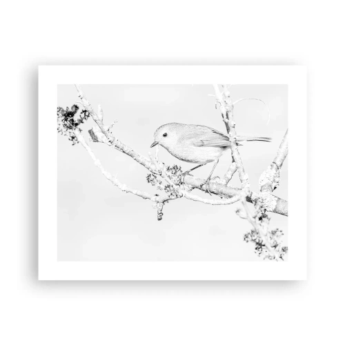 Poster - Winter Morning - 50x40 cm