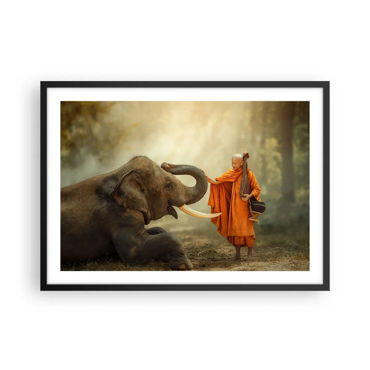 Poster in black frame - Unexpected Meeting - 70x50 cm