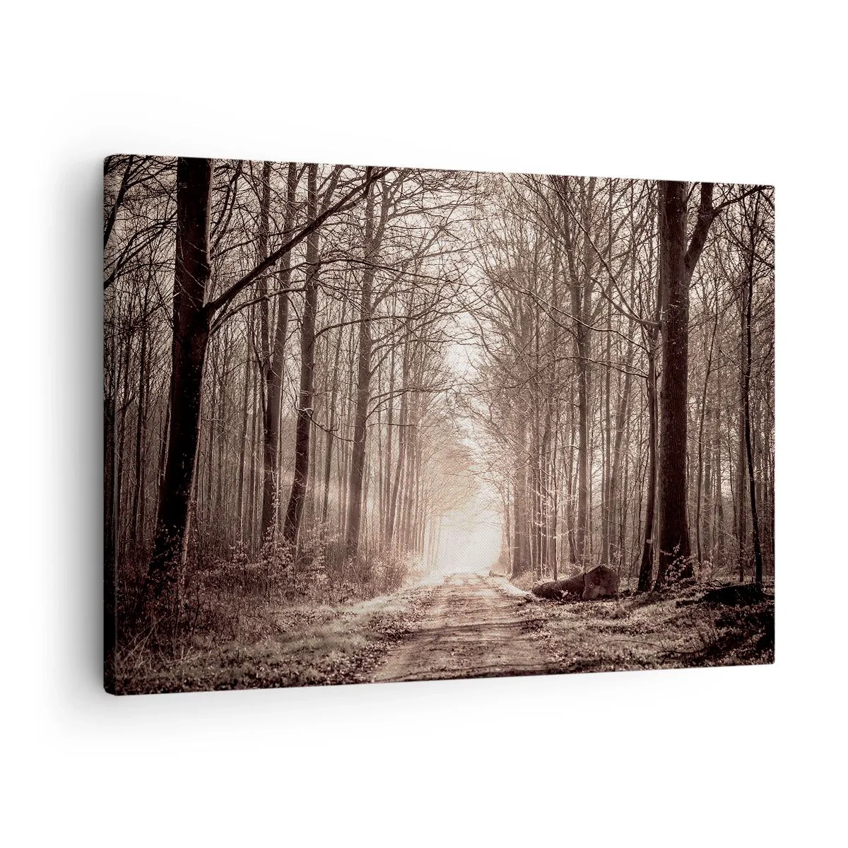 Canvas picture - A forest path among sepia-toned trees - 70x50cm - Cathedral of the Forest - Modern wall decoration for the living room and bedroom ARTTOR