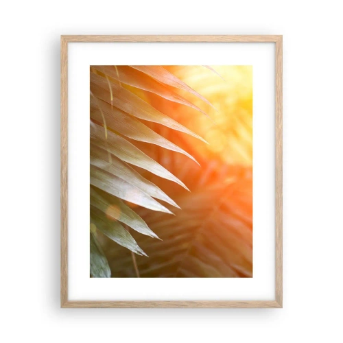 Poster in light oak frame - Morning in the Jungle - 40x50 cm
