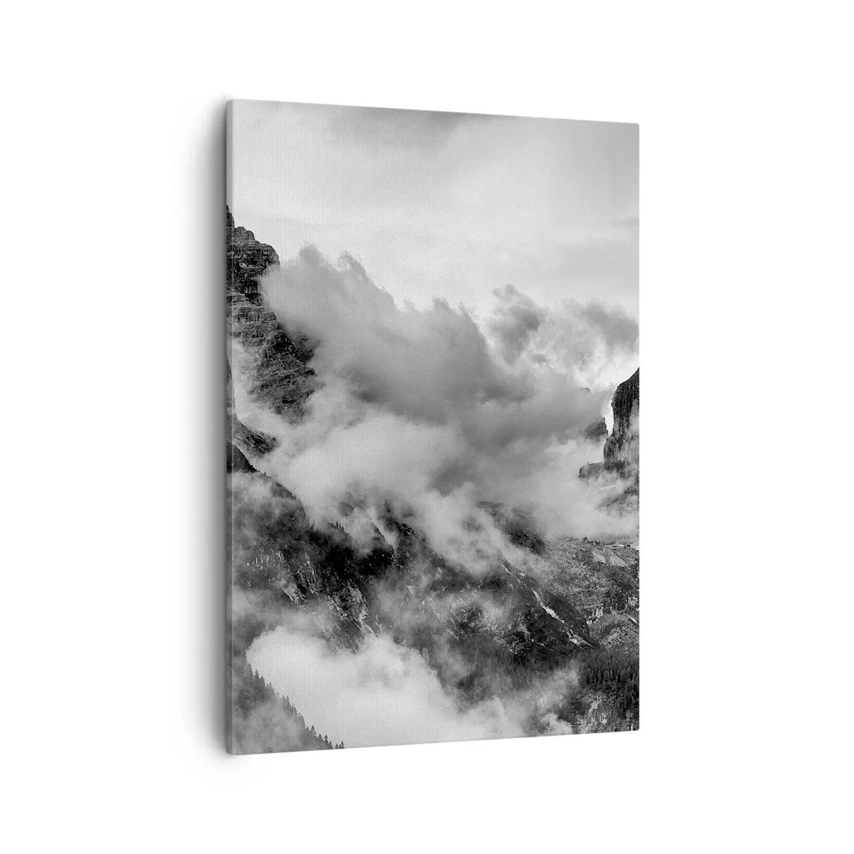 Canvas picture - Beautiful and Cruel - 50x70 cm