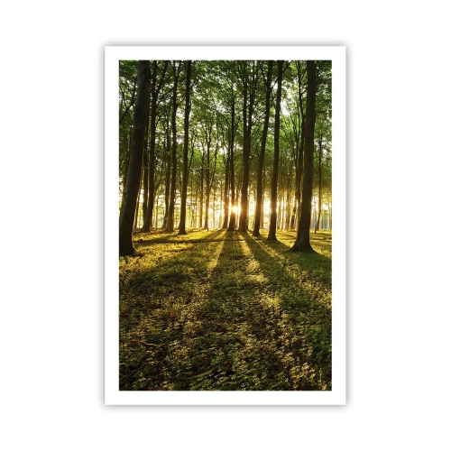 Poster - Photography of All Springs - 61x91 cm