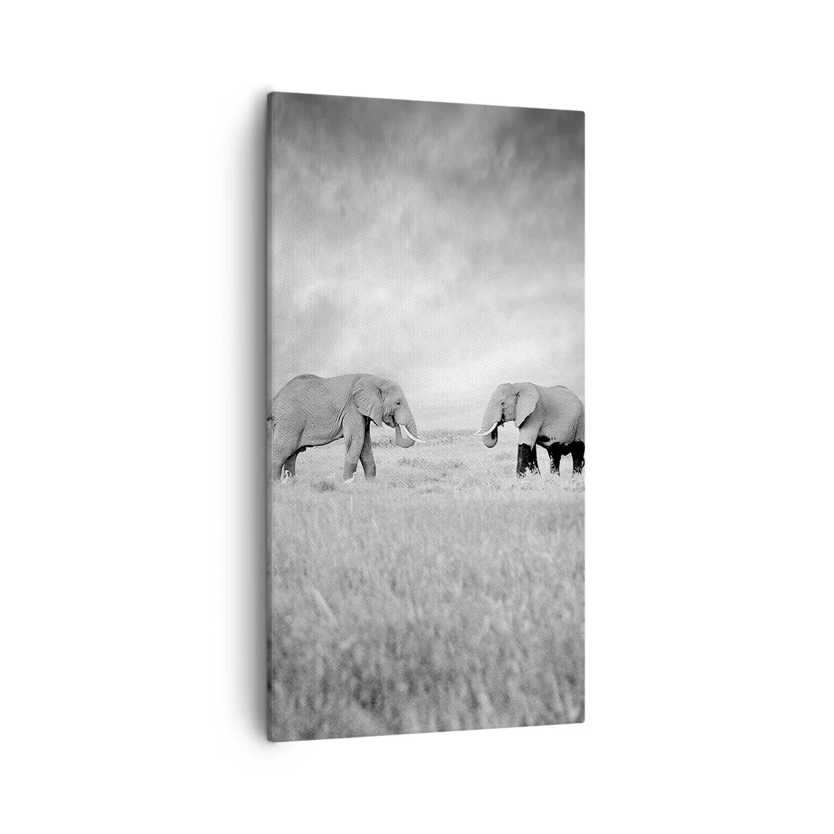 Canvas picture - Grey Is Beautiful - 55x100 cm