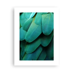 Poster - Precision of Parrot Nature - 30x40 cm