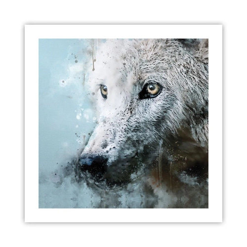 Poster - Meet Wolf Soul - 50x50 cm