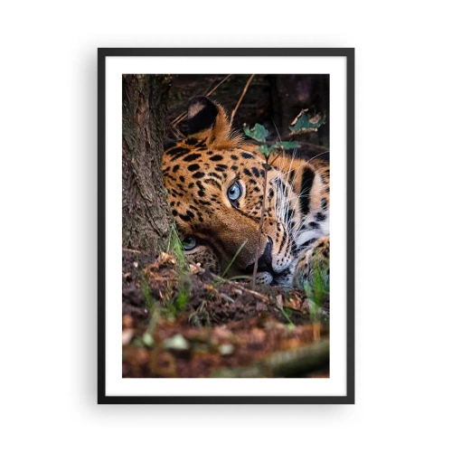 Poster in black frame - A reclining leopard with intense blue eyes - 50x70cm - Trust Me - Modern wall decoration for the living room and bedroom ARTTOR