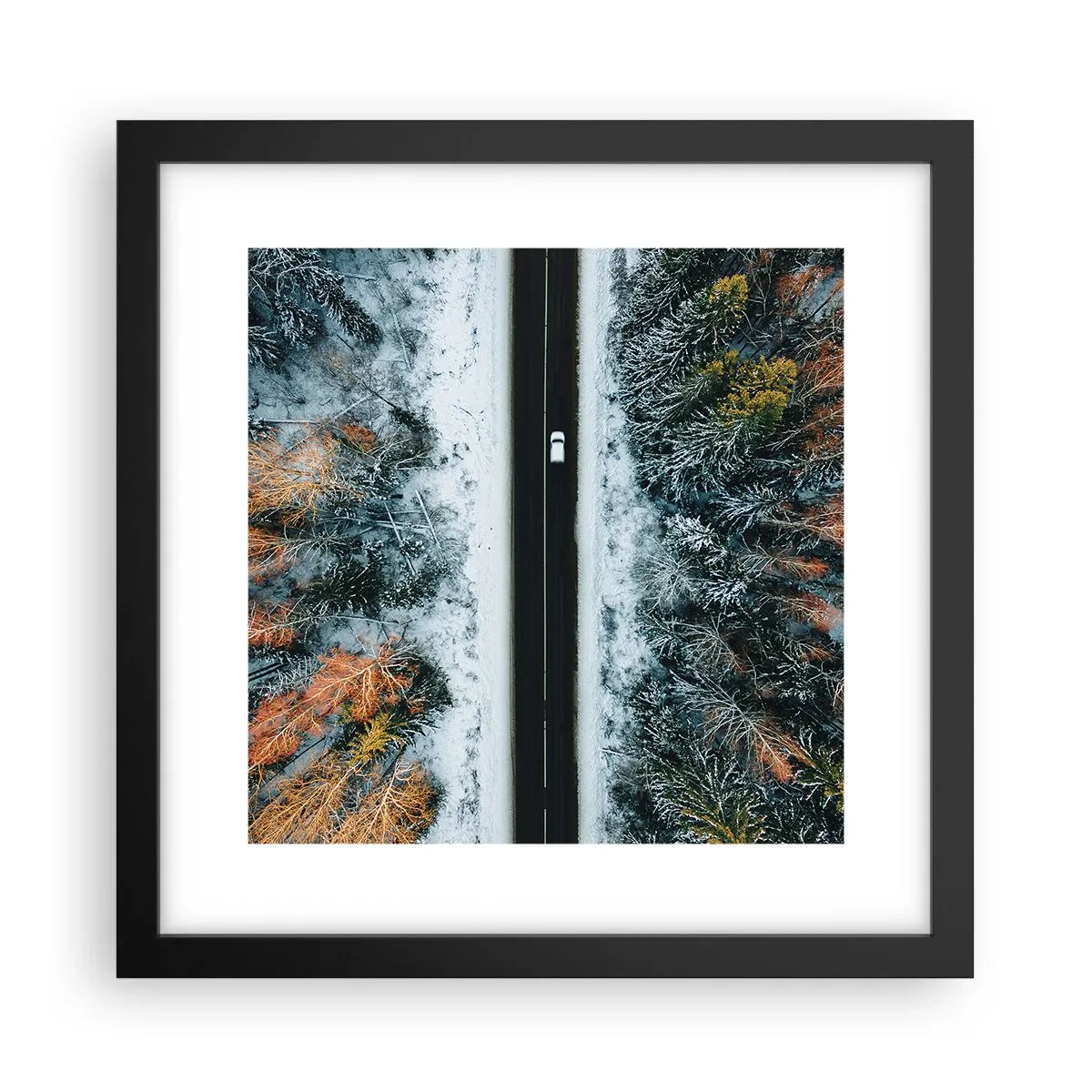 Poster in black frame - Through a Wintery Forest - 30x30 cm