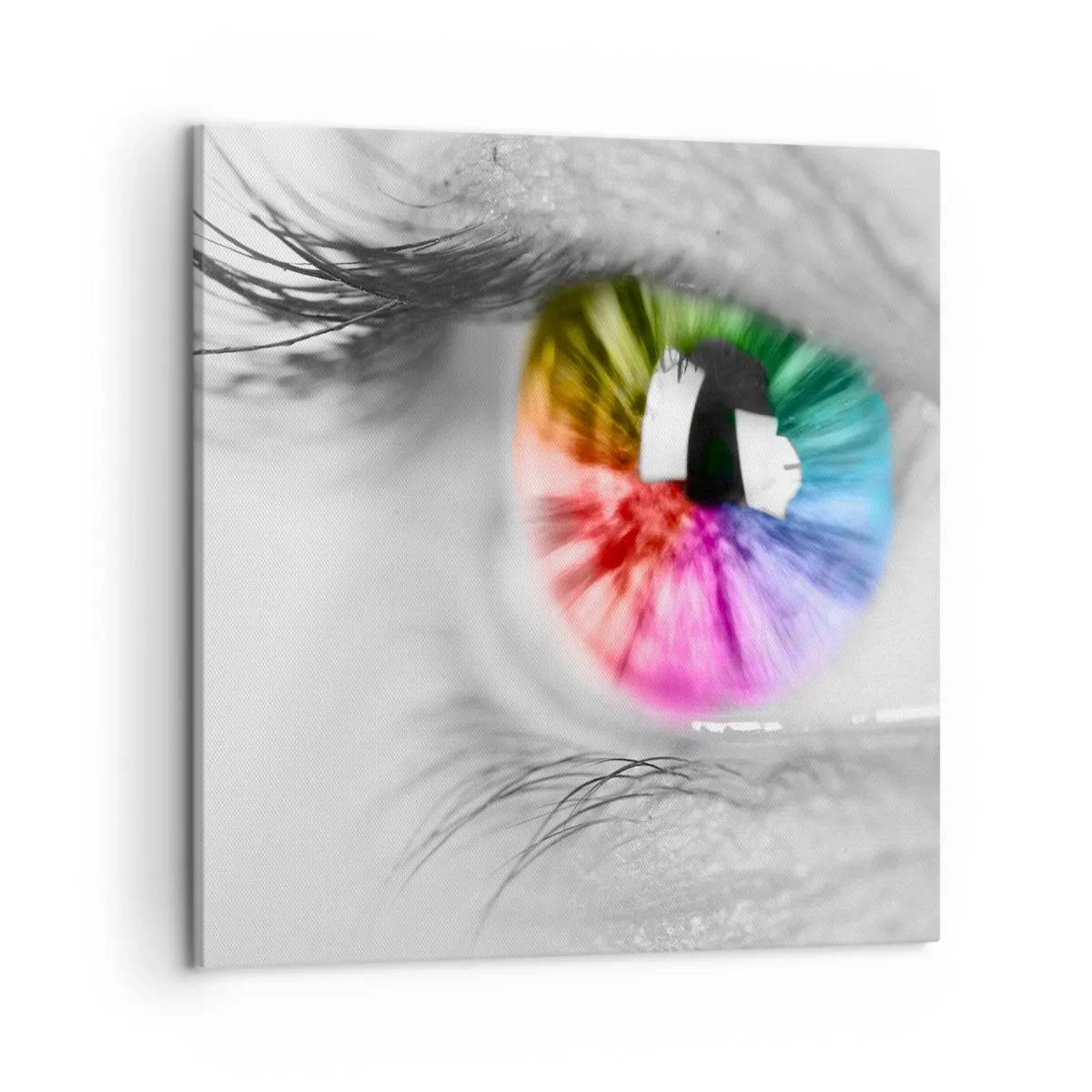 Canvas picture - See the World through Coloured Glasses - 50x50 cm