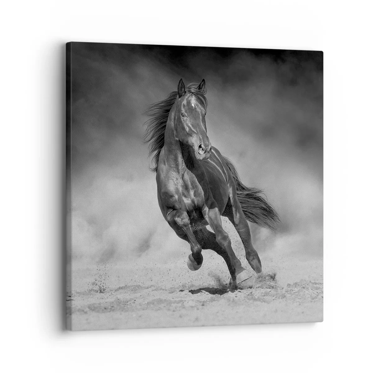 Canvas picture - Worthy of Emir Himself - 30x30 cm