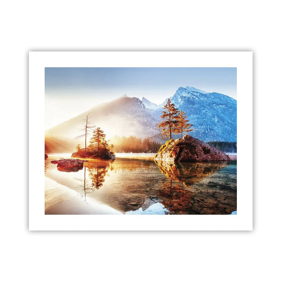 Poster - Nature in New Light - 50x40 cm