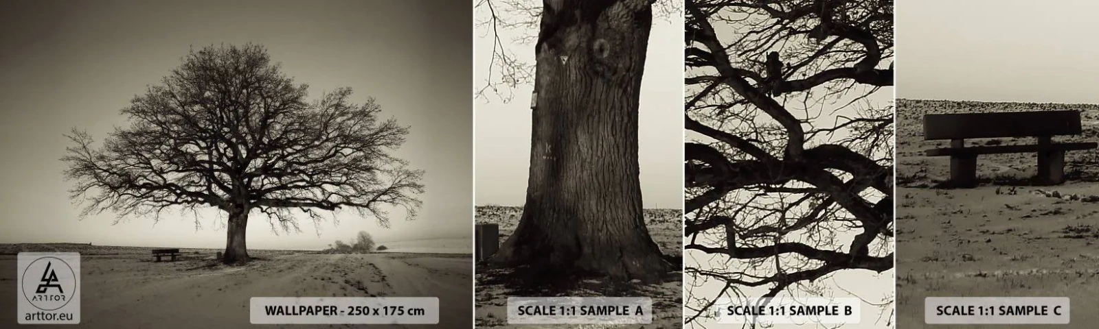 Photo Wallpaper Sample Self-Adhesive Deluxe Sticker - From Here to Eternity - Landscape, Tree, Nature - 100x30 cm