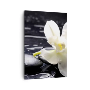 Canvas picture - Study in Black and White - 70x100 cm