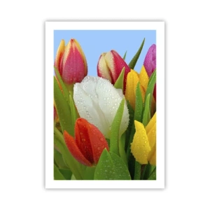 Poster - Floral Rainbow in Dew Drops - 50x70 cm