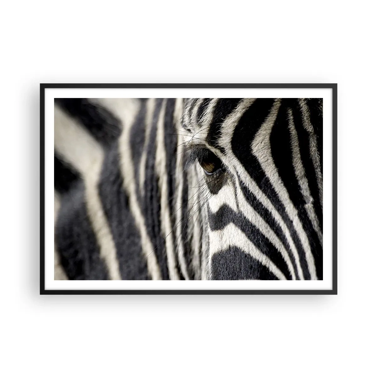 Poster in black frame - Striped Portrait - 100x70 cm