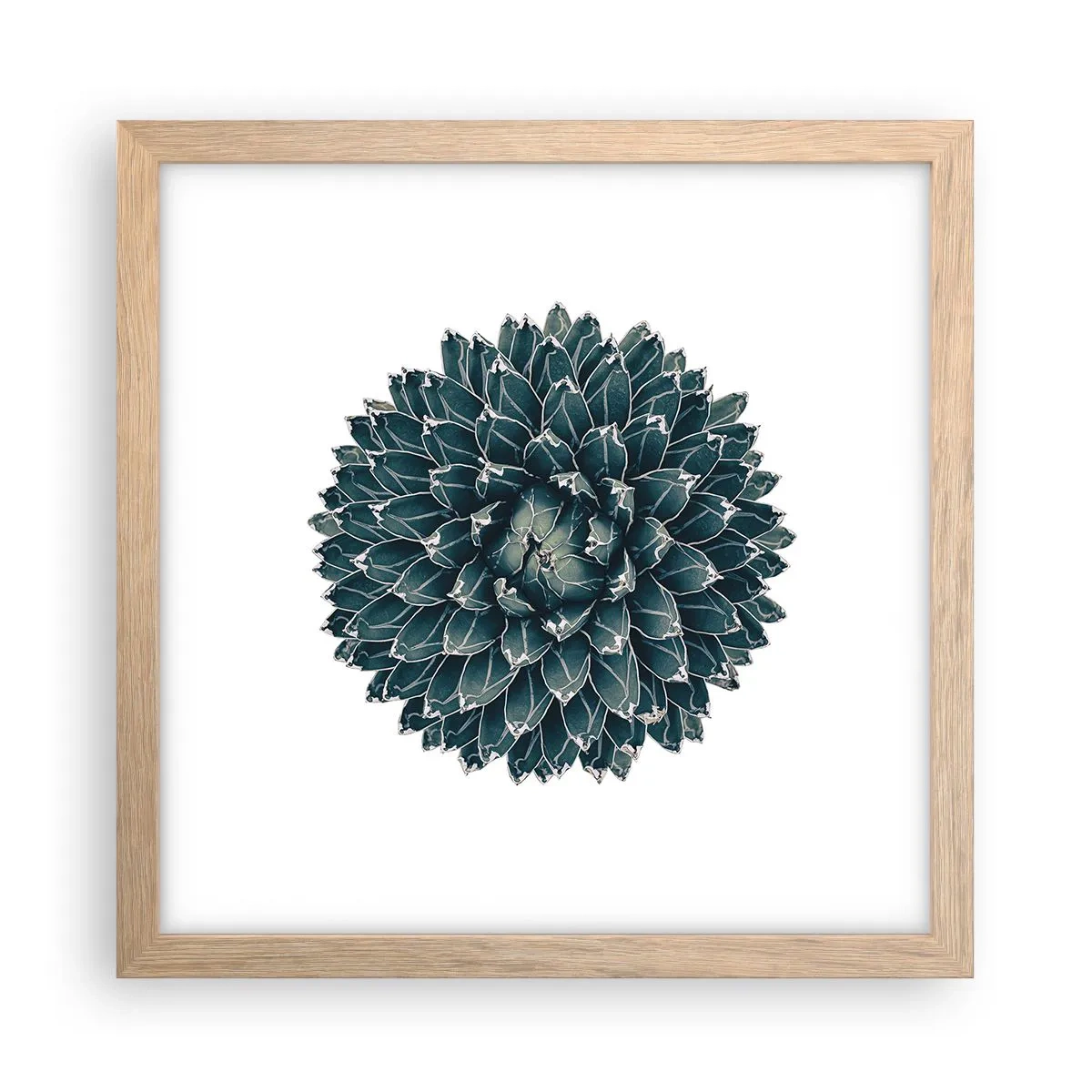 Poster in light oak frame - Star of the Desert - 30x30 cm
